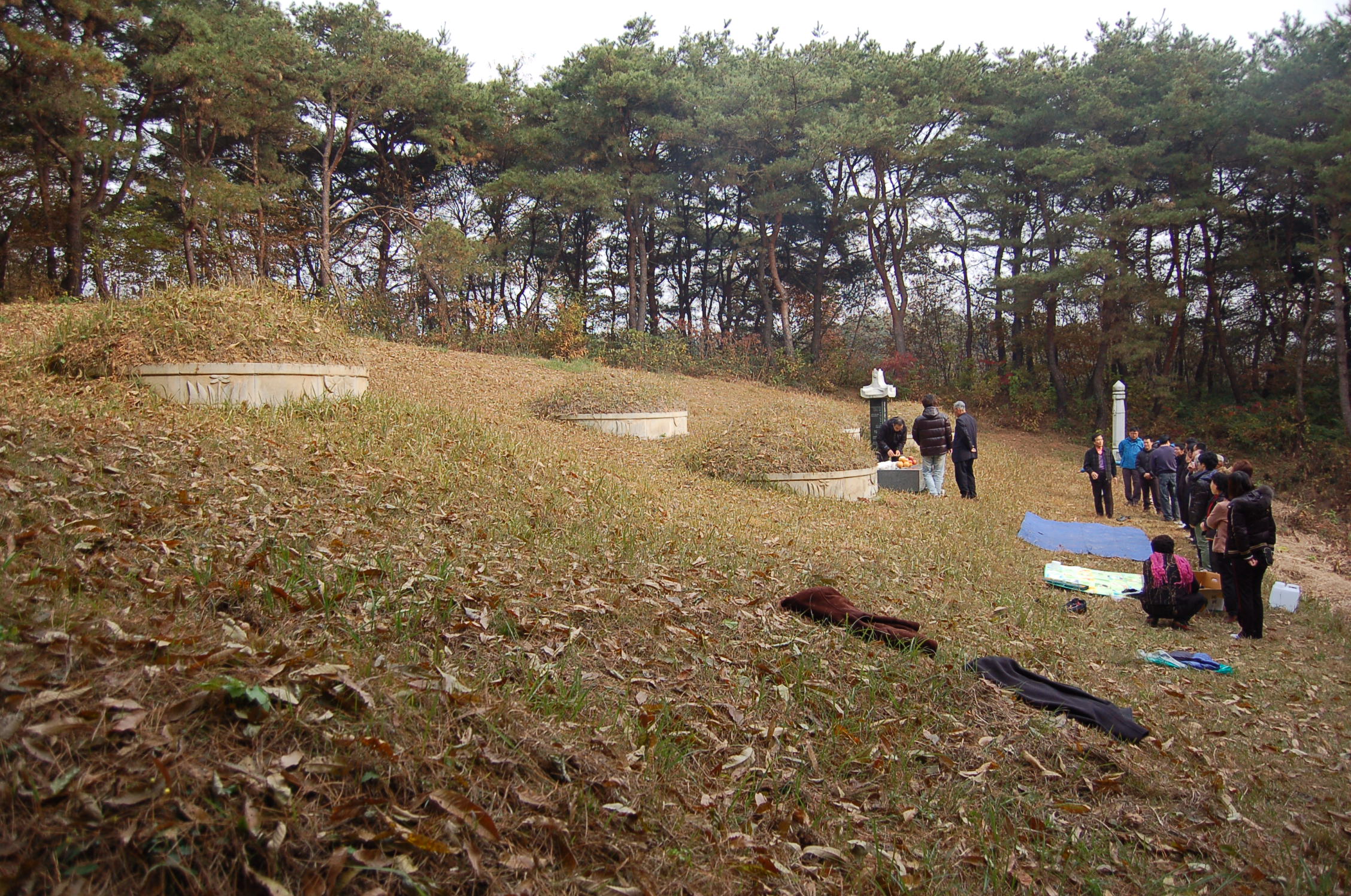 20101114시제031.JPG